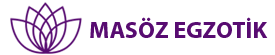 Masöz Egzotik | Kurtköy Evde Masaj  | Kurtköy Masöz  | Kurtköy Masaj  | Pendik Masöz